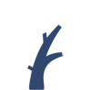 White Tree Icon